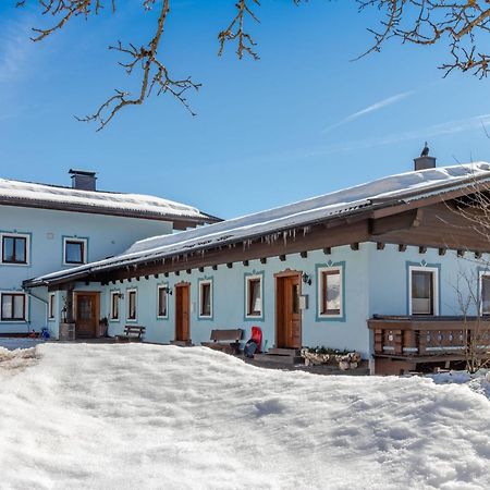 Spacious Apartment With Close To Skiing Points Міттерзілль Екстер'єр фото